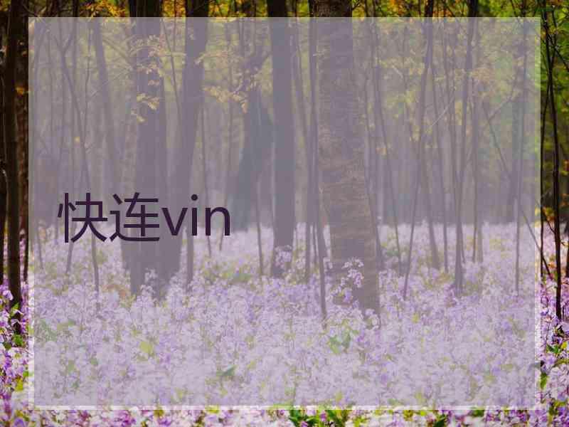 快连vin