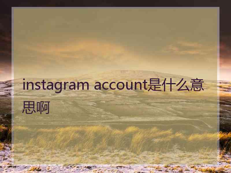 instagram account是什么意思啊