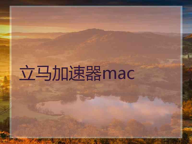 立马加速器mac