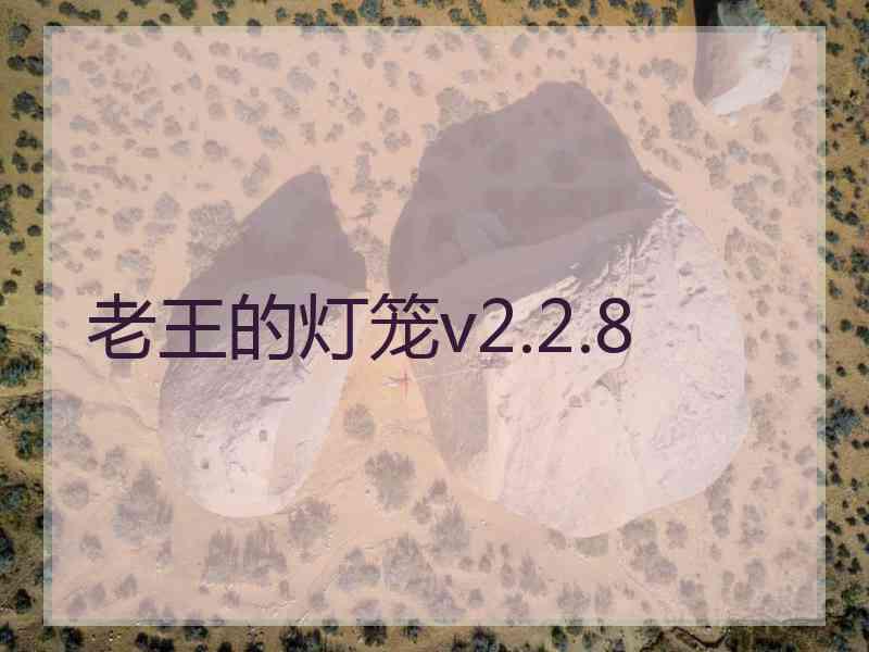 老王的灯笼v2.2.8