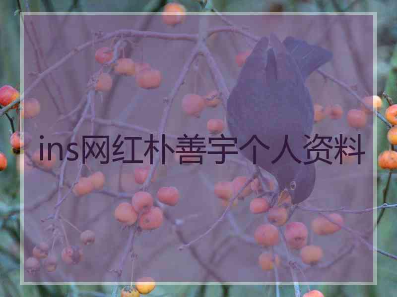 ins网红朴善宇个人资料