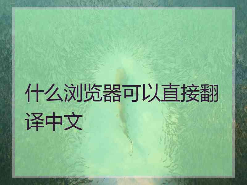 什么浏览器可以直接翻译中文