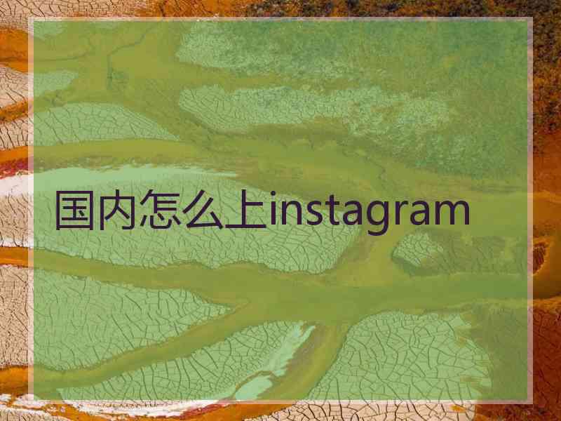 国内怎么上instagram