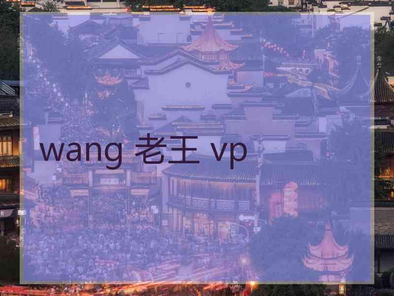 wang 老王 vp