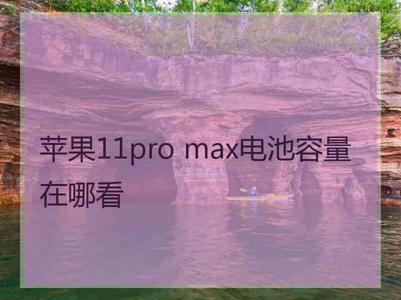 苹果11pro max电池容量在哪看