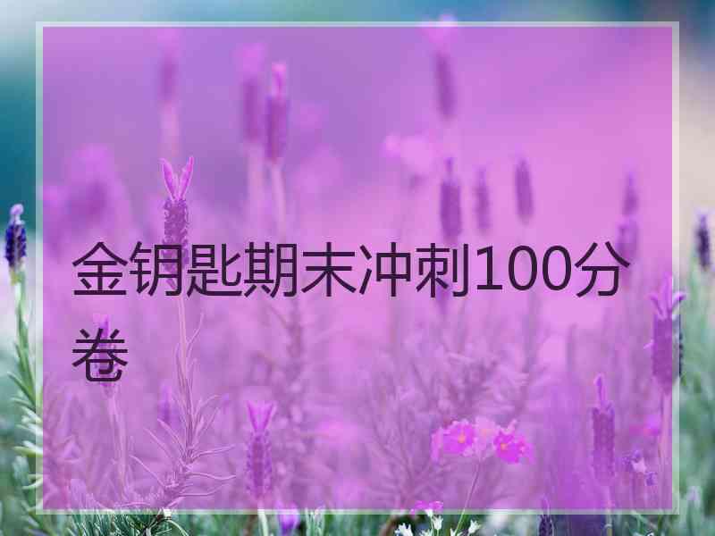 金钥匙期末冲刺100分卷