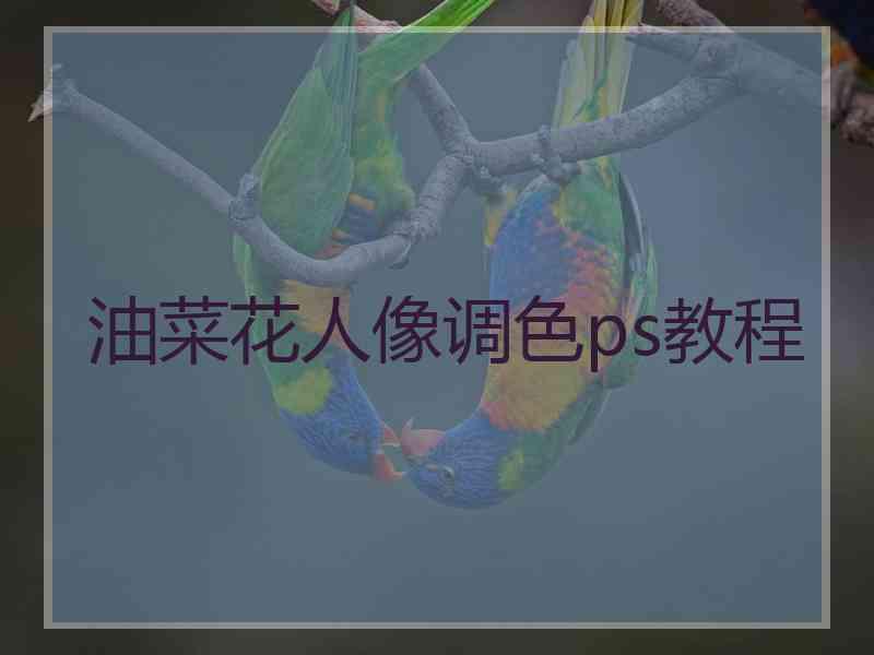 油菜花人像调色ps教程