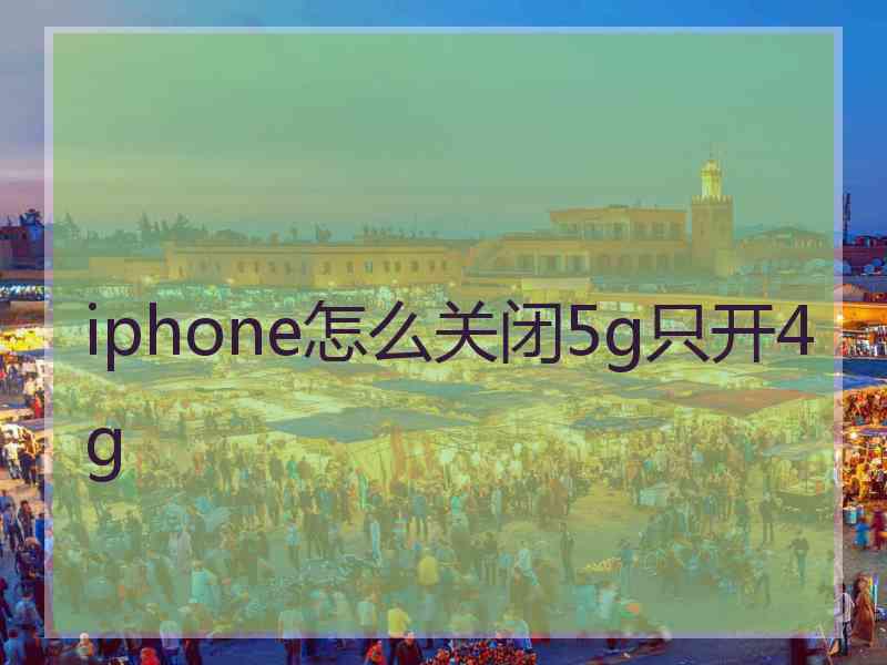 iphone怎么关闭5g只开4g