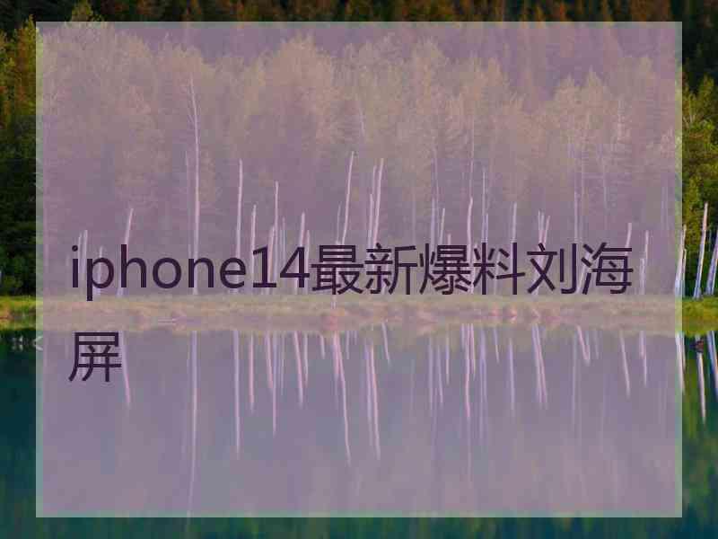 iphone14最新爆料刘海屏