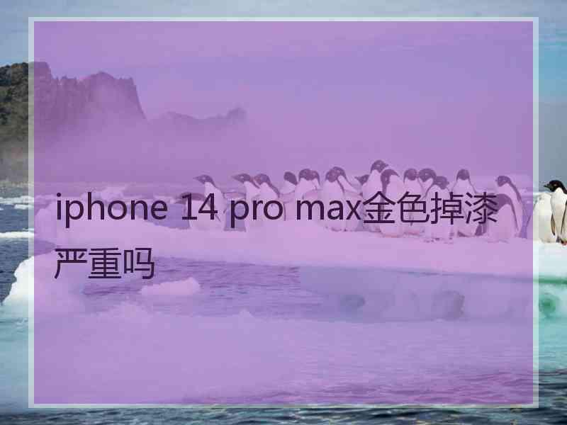 iphone 14 pro max金色掉漆严重吗