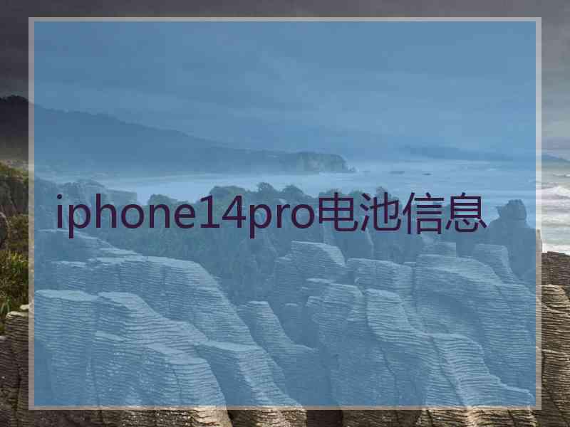 iphone14pro电池信息