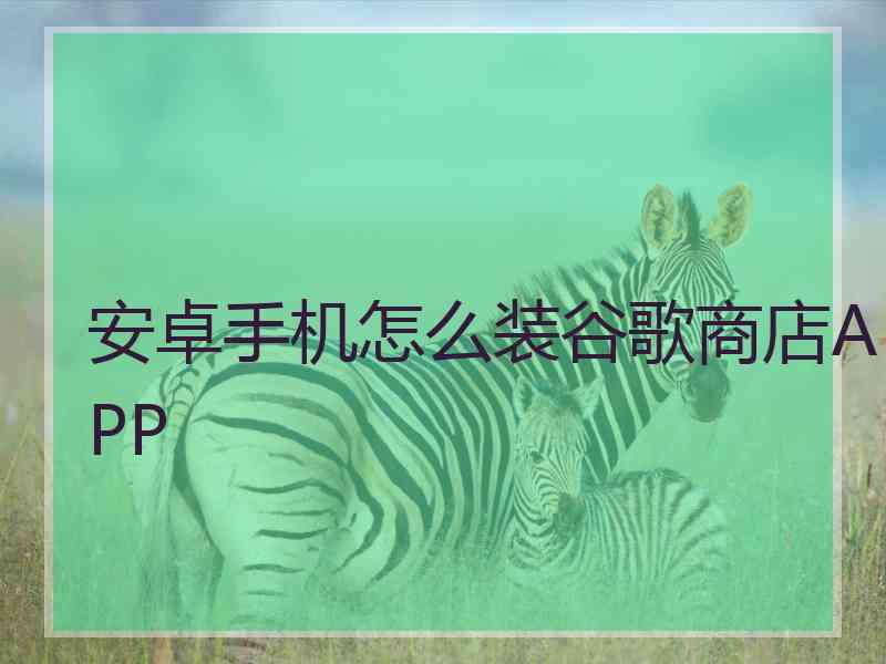 安卓手机怎么装谷歌商店APP