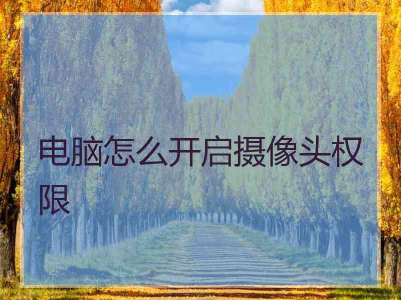 电脑怎么开启摄像头权限