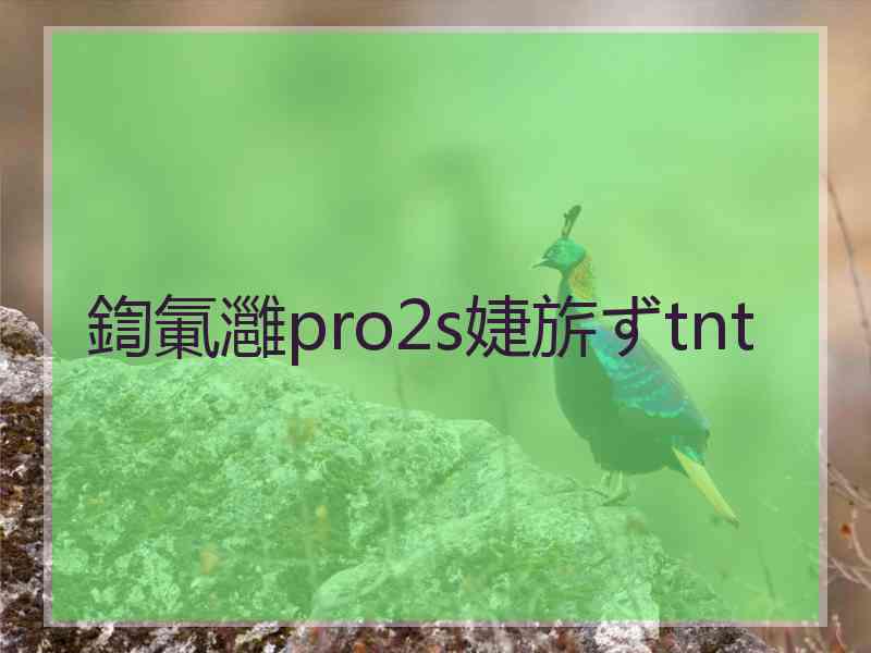 鍧氭灉pro2s婕旂ずtnt