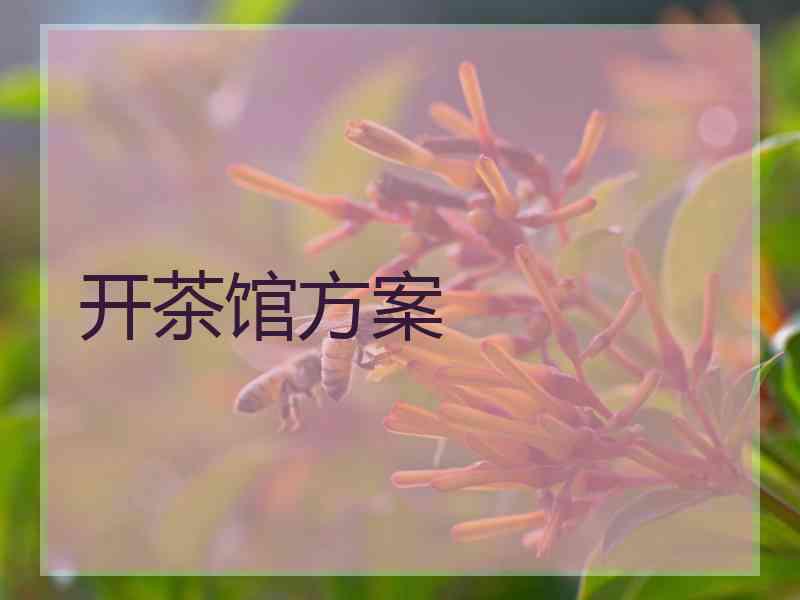 开茶馆方案