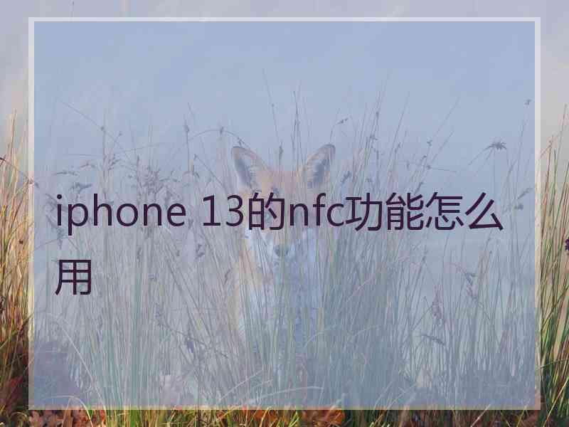 iphone 13的nfc功能怎么用