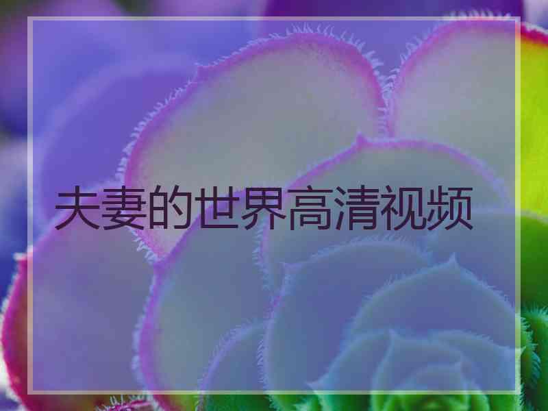 夫妻的世界高清视频