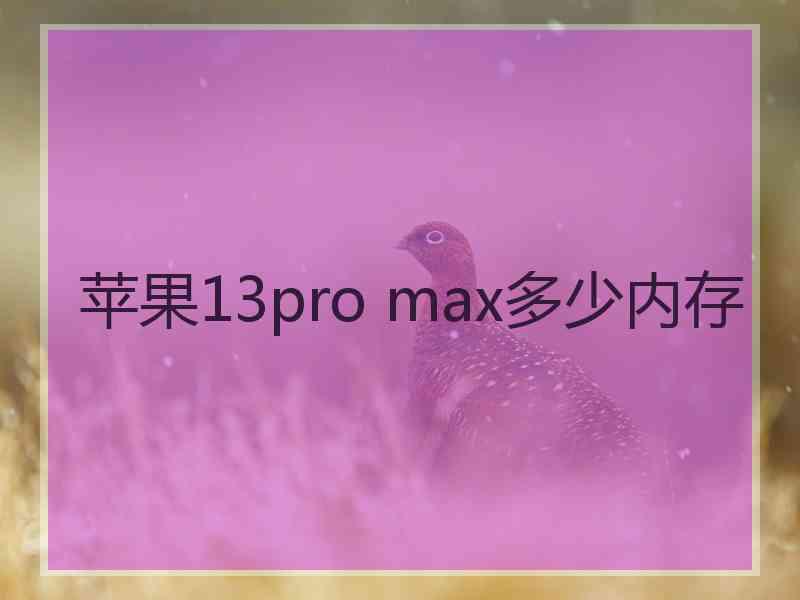 苹果13pro max多少内存