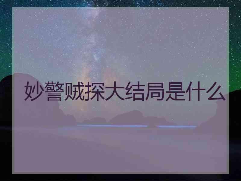 妙警贼探大结局是什么