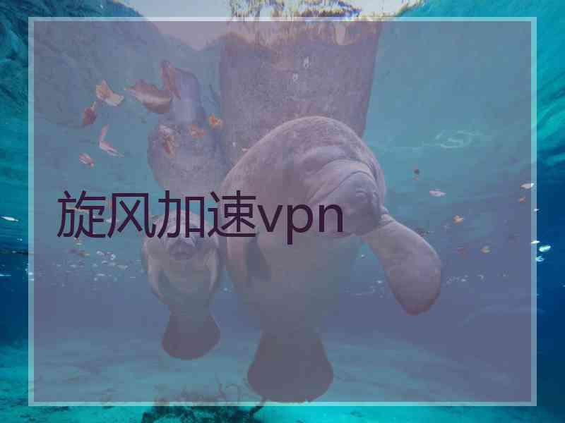 旋风加速vpn