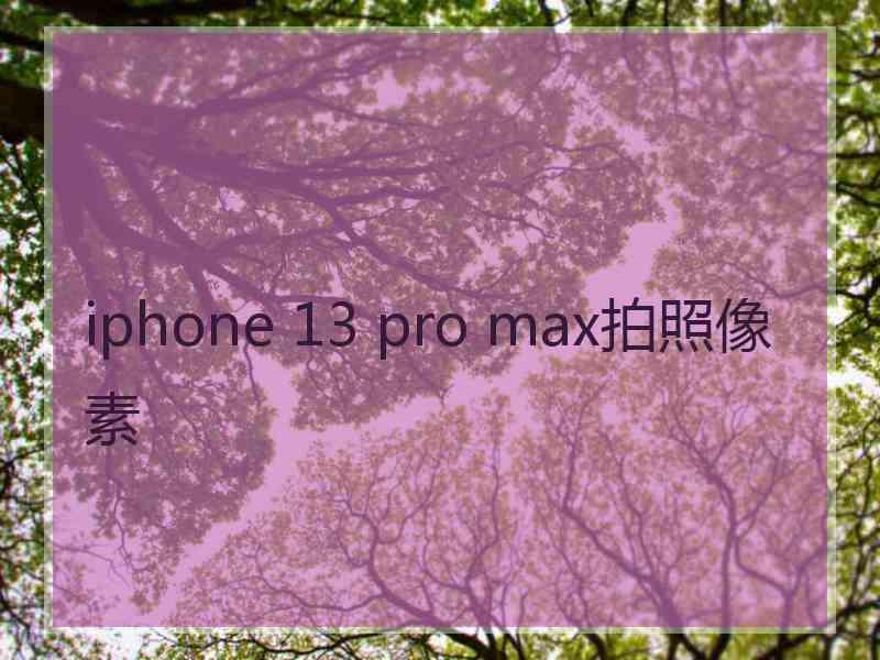 iphone 13 pro max拍照像素