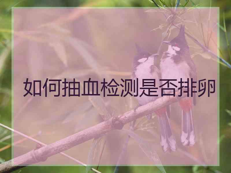 如何抽血检测是否排卵