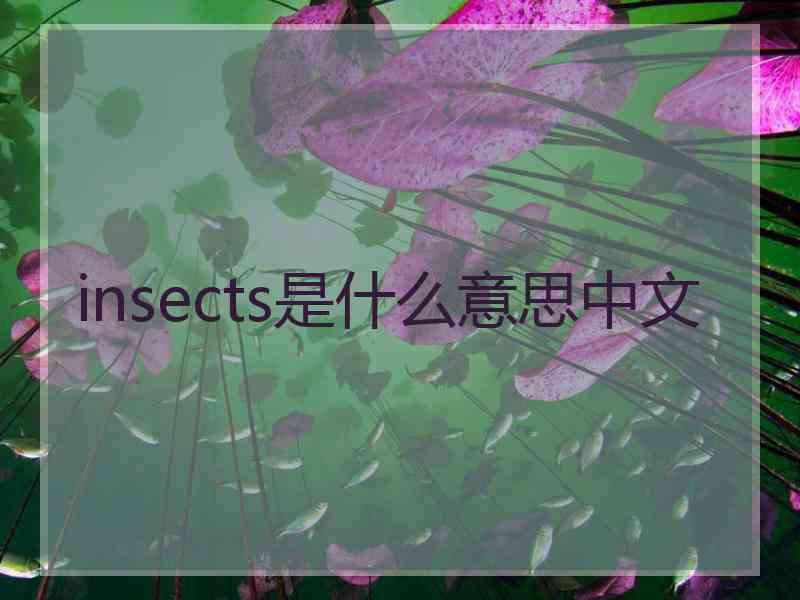 insects是什么意思中文