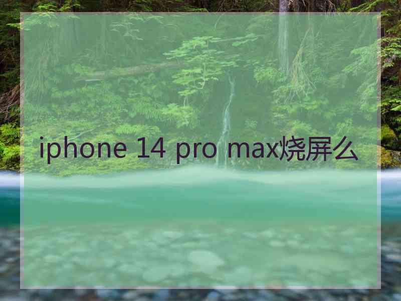 iphone 14 pro max烧屏么