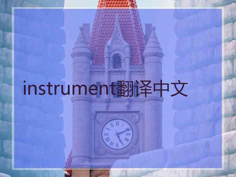 instrument翻译中文