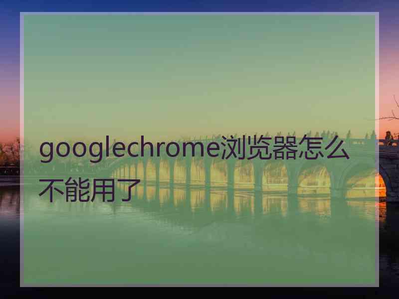 googlechrome浏览器怎么不能用了