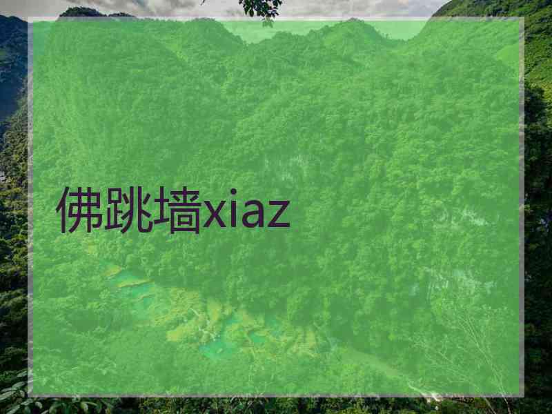 佛跳墙xiaz