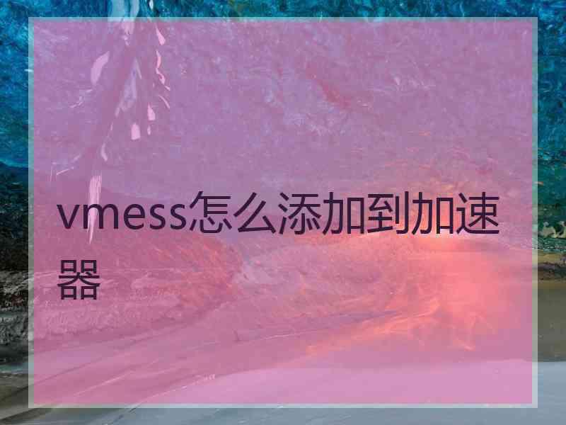 vmess怎么添加到加速器