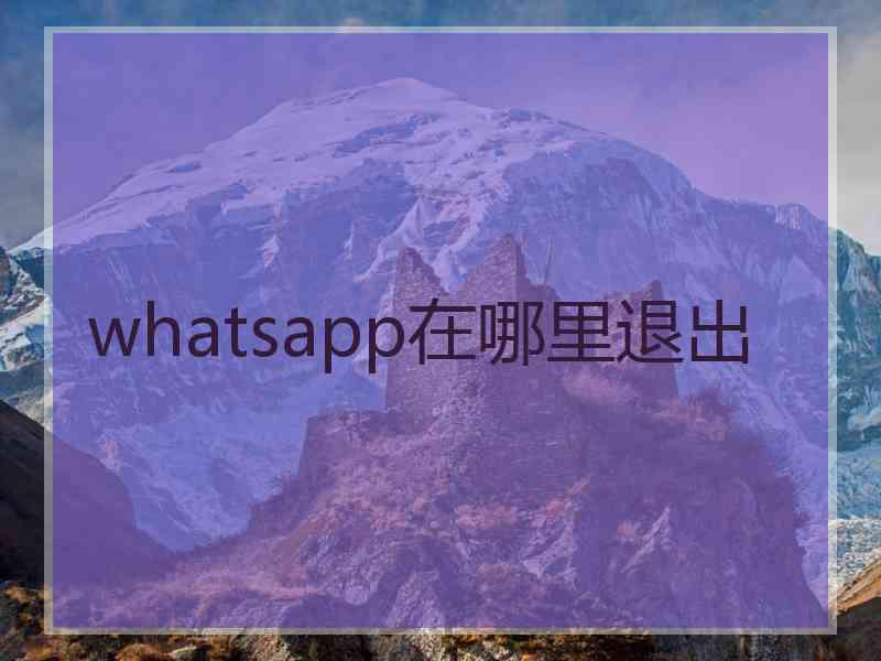 whatsapp在哪里退出