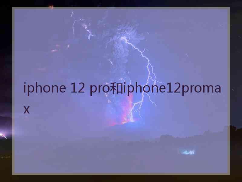 iphone 12 pro和iphone12promax