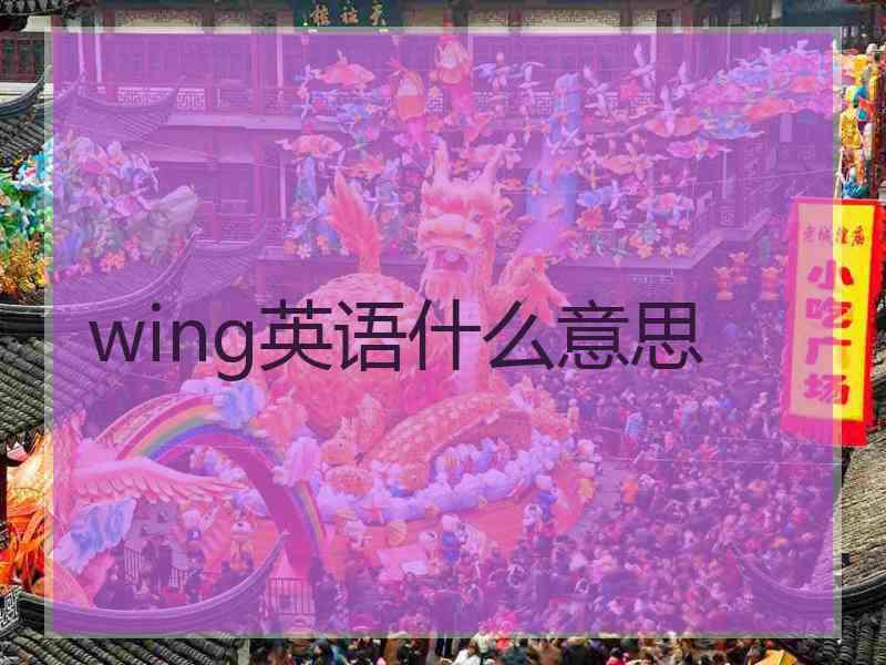 wing英语什么意思