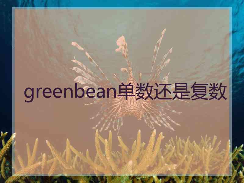 greenbean单数还是复数