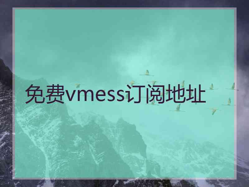 免费vmess订阅地址