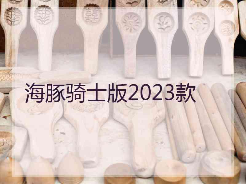 海豚骑士版2023款