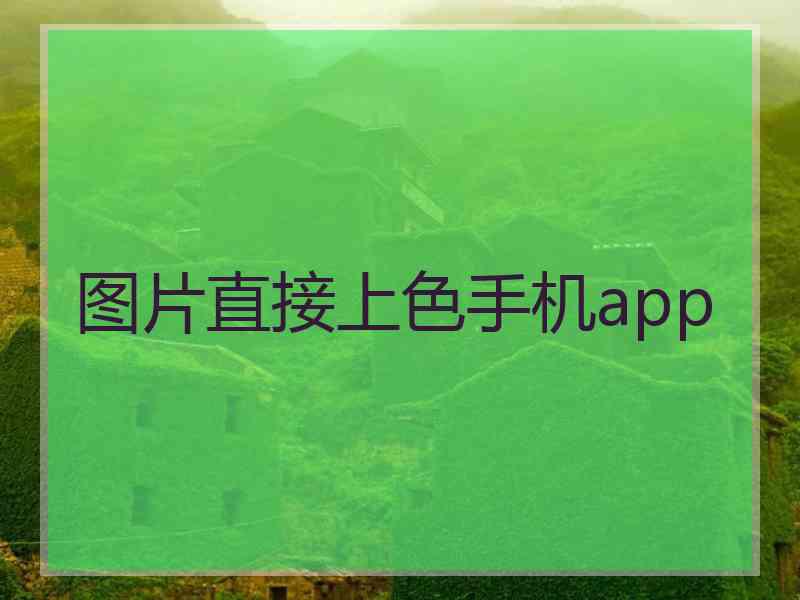 图片直接上色手机app