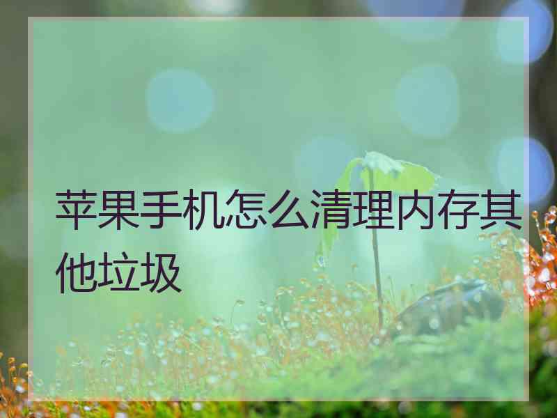 苹果手机怎么清理内存其他垃圾