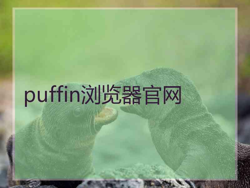 puffin浏览器官网