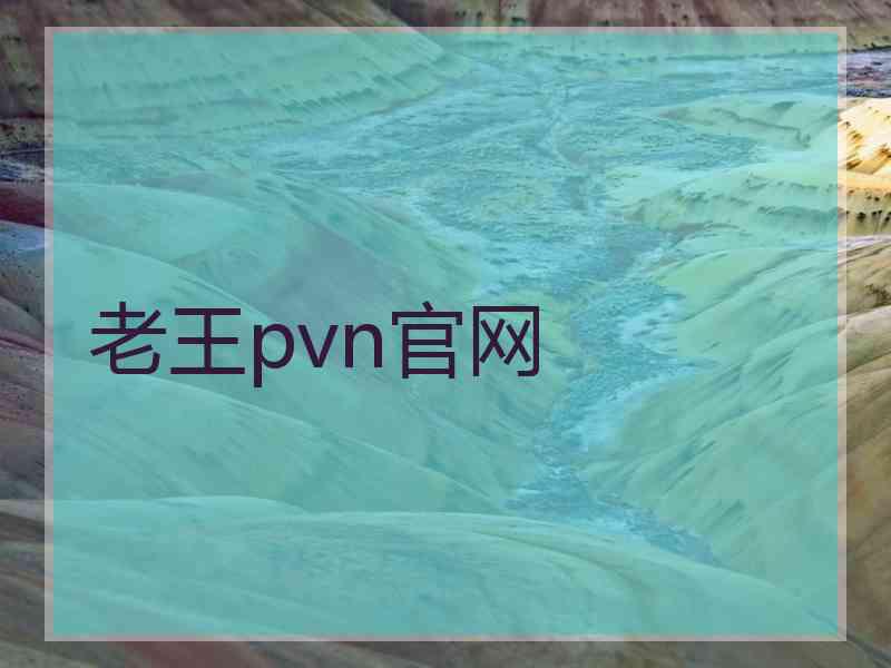 老王pvn官网