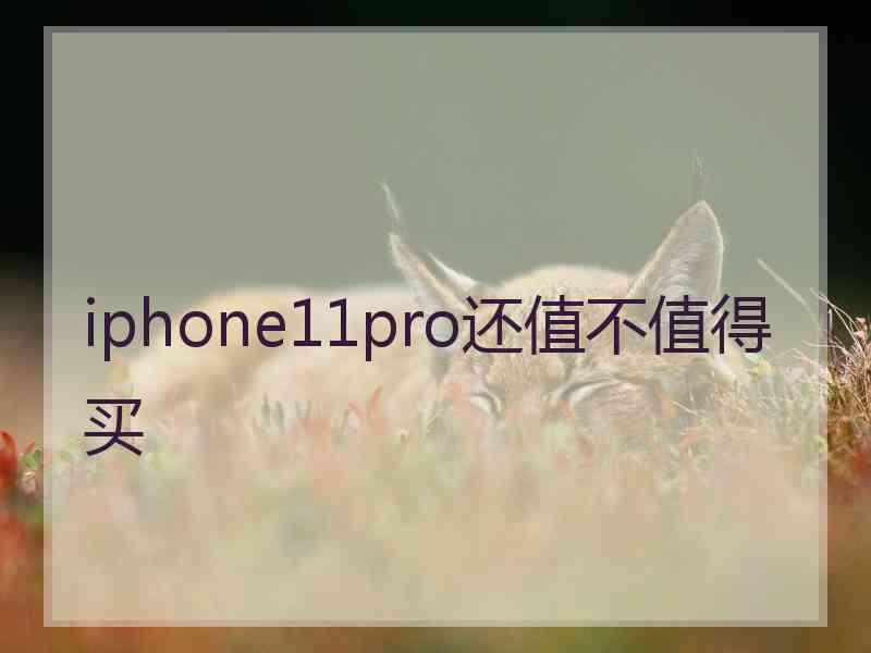 iphone11pro还值不值得买