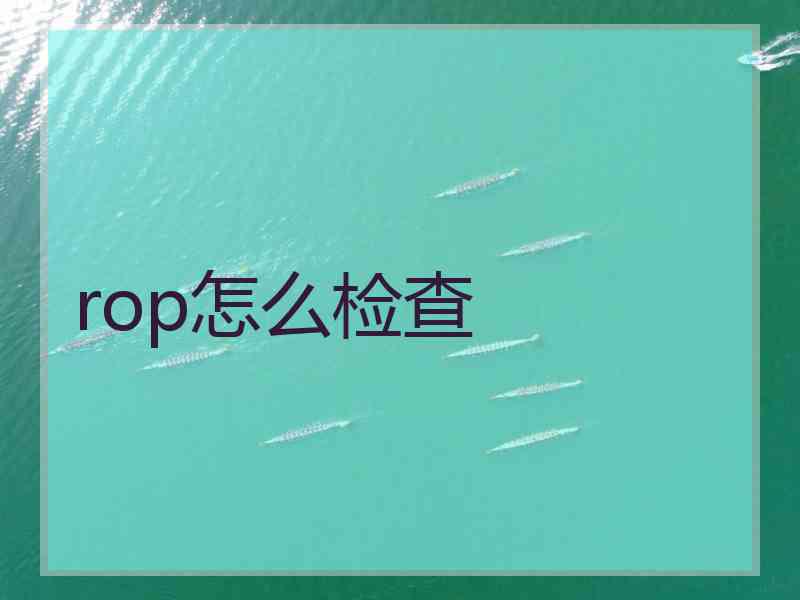 rop怎么检查