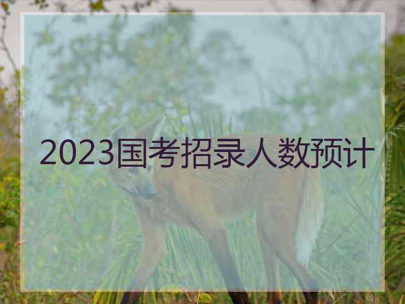 2023国考招录人数预计