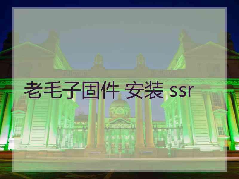 老毛子固件 安装 ssr