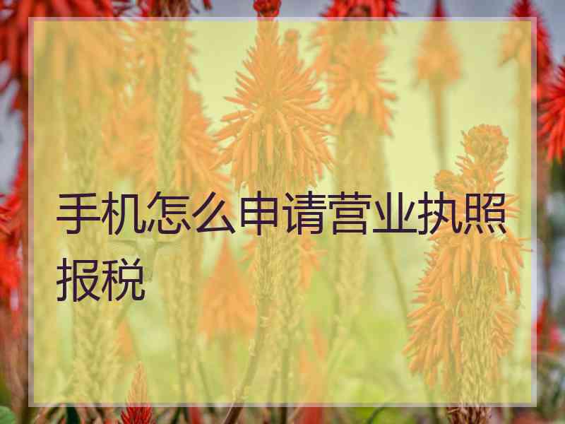 手机怎么申请营业执照报税