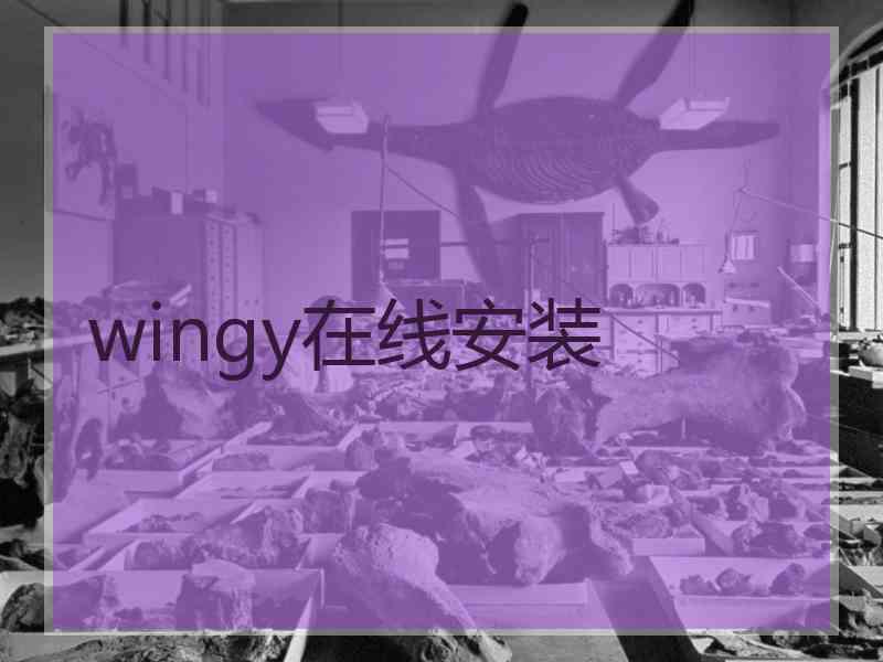 wingy在线安装