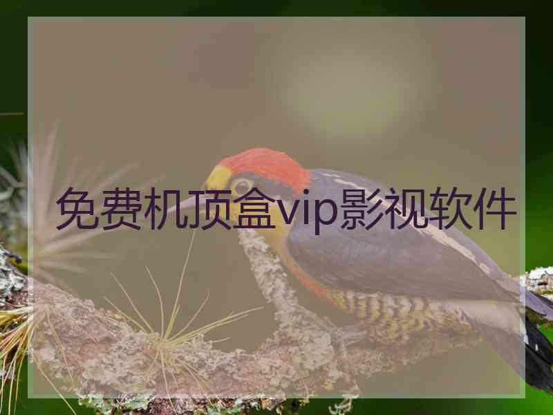 免费机顶盒vip影视软件