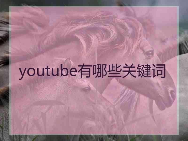 youtube有哪些关键词